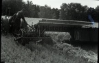 61e