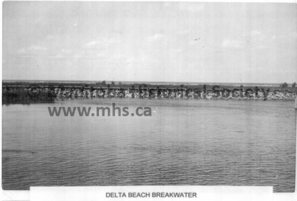 DM0007-004