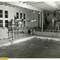 Sherbrook Pool ca. 1960
