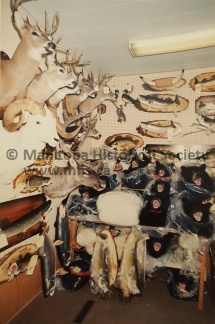 Telesky Taxidermy Archives