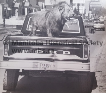 Telesky Taxidermy Archives