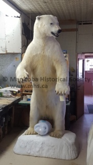 Telesky Taxidermy