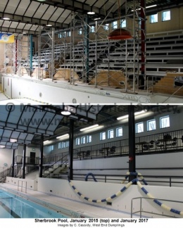 Pool Renovations - Before and After