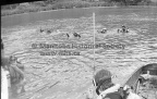 3-9917-003 0