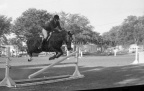 3-11041-002 0