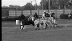 3-6018-002 0