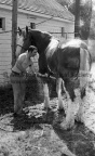 3-7594-007 0