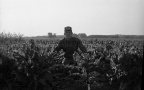 3-7934-001 0