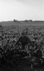 3-7934-002 0
