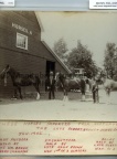 3172 horses
