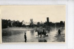 1609W